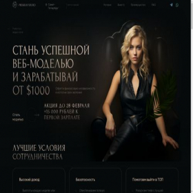 Скриншот главной страницы сайта premiumst.ru