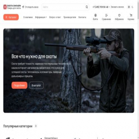 Скриншот главной страницы сайта pricelprofi.ru