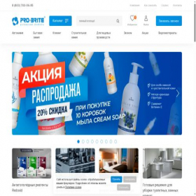 Скриншот главной страницы сайта pro-brite.com