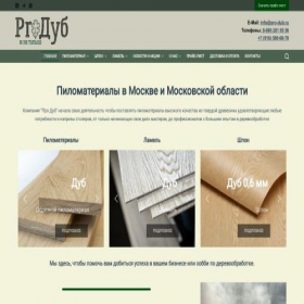 Скриншот главной страницы сайта pro-dub.ru