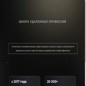 Скриншот главной страницы сайта pro-online-rabotu.ru
