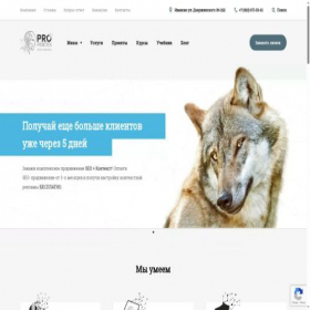 Скриншот главной страницы сайта pro-promotion.ru