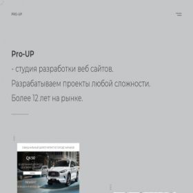 Скриншот главной страницы сайта pro-up.ru