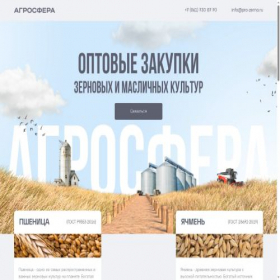 Скриншот главной страницы сайта pro-zerno.ru