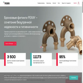 Скриншот главной страницы сайта pro.rhsolutions.ru