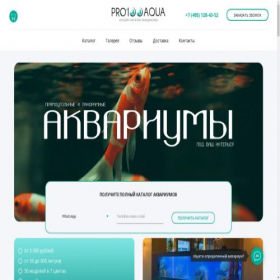 Скриншот главной страницы сайта pro100aqua.ru