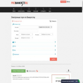 Скриншот главной страницы сайта probankrot.ru