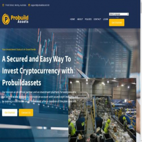 Скриншот главной страницы сайта probuildassets.ltd