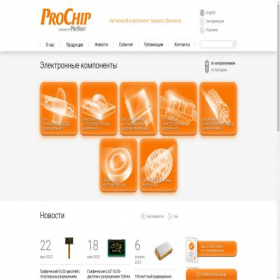 Скриншот главной страницы сайта prochip.ru