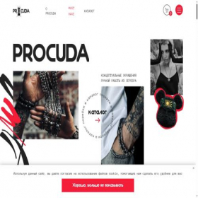 Скриншот главной страницы сайта procuda.com
