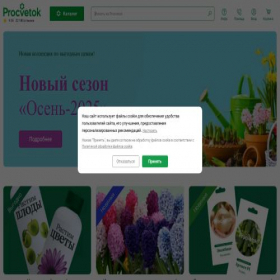 Скриншот главной страницы сайта procvetok.ru
