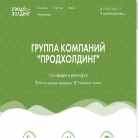 Скриншот главной страницы сайта prodholding.ru