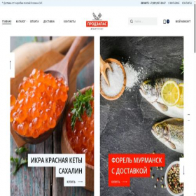 Скриншот главной страницы сайта prodzapas.com