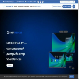 Скриншот главной страницы сайта profdisplays.ru