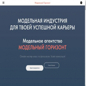Скриншот главной страницы сайта professional-pretty.ru