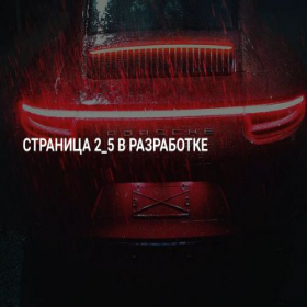 Скриншот главной страницы сайта professionelskuzavto.ru