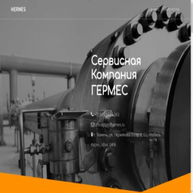 Скриншот главной страницы сайта profhermes.ru