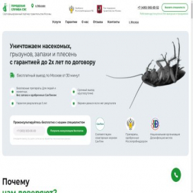Скриншот главной страницы сайта profi-diz.ru