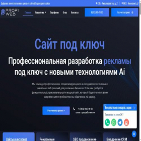 Скриншот главной страницы сайта profi-web.ru