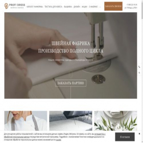 Скриншот главной страницы сайта profidress.ru