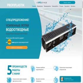 Скриншот главной страницы сайта profiplastik.ru
