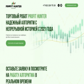 Скриншот главной страницы сайта profit-hunter.space