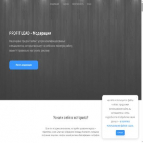 Скриншот главной страницы сайта profit-lead.ru