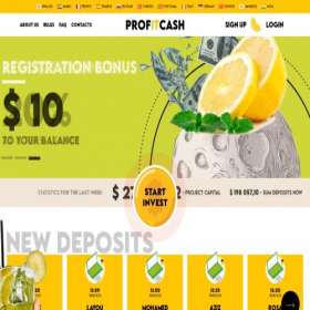 Скриншот главной страницы сайта profitcash.top