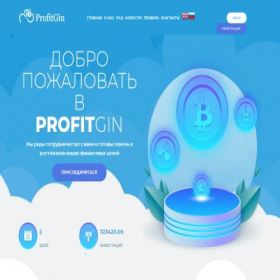 Скриншот главной страницы сайта profitgin.online
