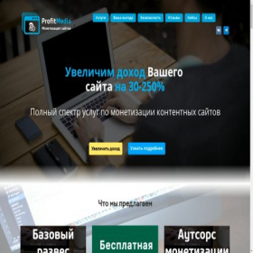 Скриншот главной страницы сайта profitmedia.guru