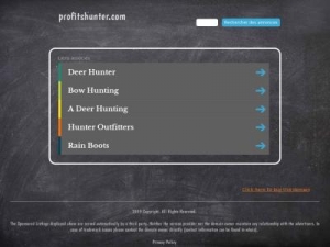 Скриншот главной страницы сайта profitshunter.com