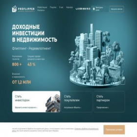 Скриншот главной страницы сайта proflipper.ru