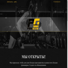 Скриншот главной страницы сайта progym.su