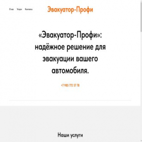 Скриншот главной страницы сайта project10067047.tilda.ws