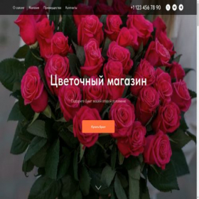 Скриншот главной страницы сайта project10529897.tilda.ws