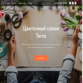 Скриншот главной страницы сайта project10638833.tilda.ws
