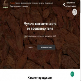 Скриншот главной страницы сайта project12029877.tilda.ws