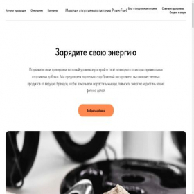 Скриншот главной страницы сайта project12555713.tilda.ws