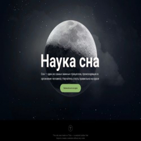 Скриншот главной страницы сайта project4817137.tilda.ws