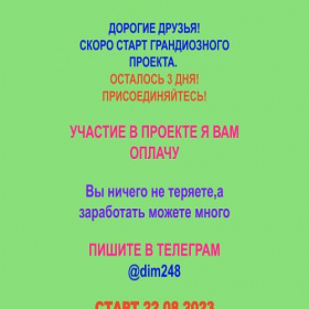 Скриншот главной страницы сайта project55141.lastpage.at