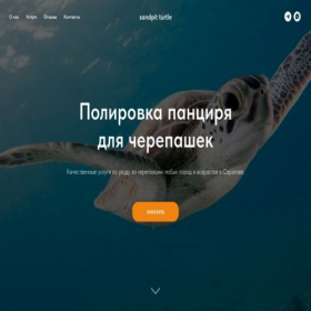 Скриншот главной страницы сайта project8151456.tilda.ws