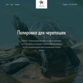 Скриншот главной страницы сайта project8180064.tilda.ws