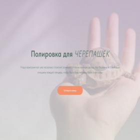 Скриншот главной страницы сайта project8186654.tilda.ws