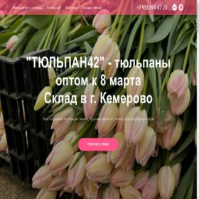 Скриншот главной страницы сайта project8364449.tilda.ws