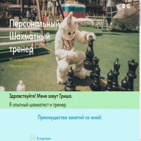 Скриншот главной страницы сайта project8405467.tilda.ws