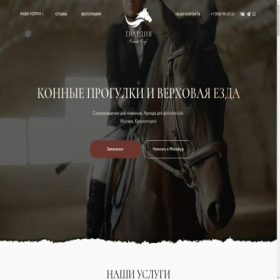 Скриншот главной страницы сайта project8448356.tilda.ws