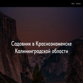 Скриншот главной страницы сайта project8513544.tilda.ws