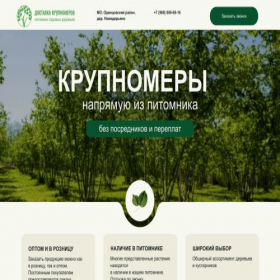 Скриншот главной страницы сайта project8801829.tilda.ws