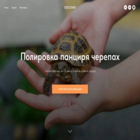 Скриншот главной страницы сайта project9111047.tilda.ws
