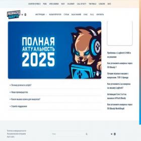 Скриншот главной страницы сайта promacro.ru